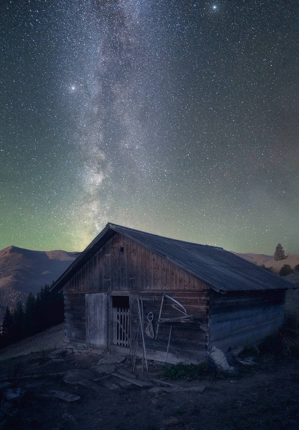 , Андрей Жила