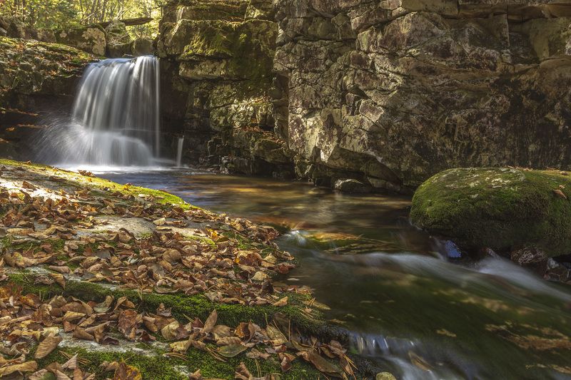 водопад, тайга, лес  фото превью