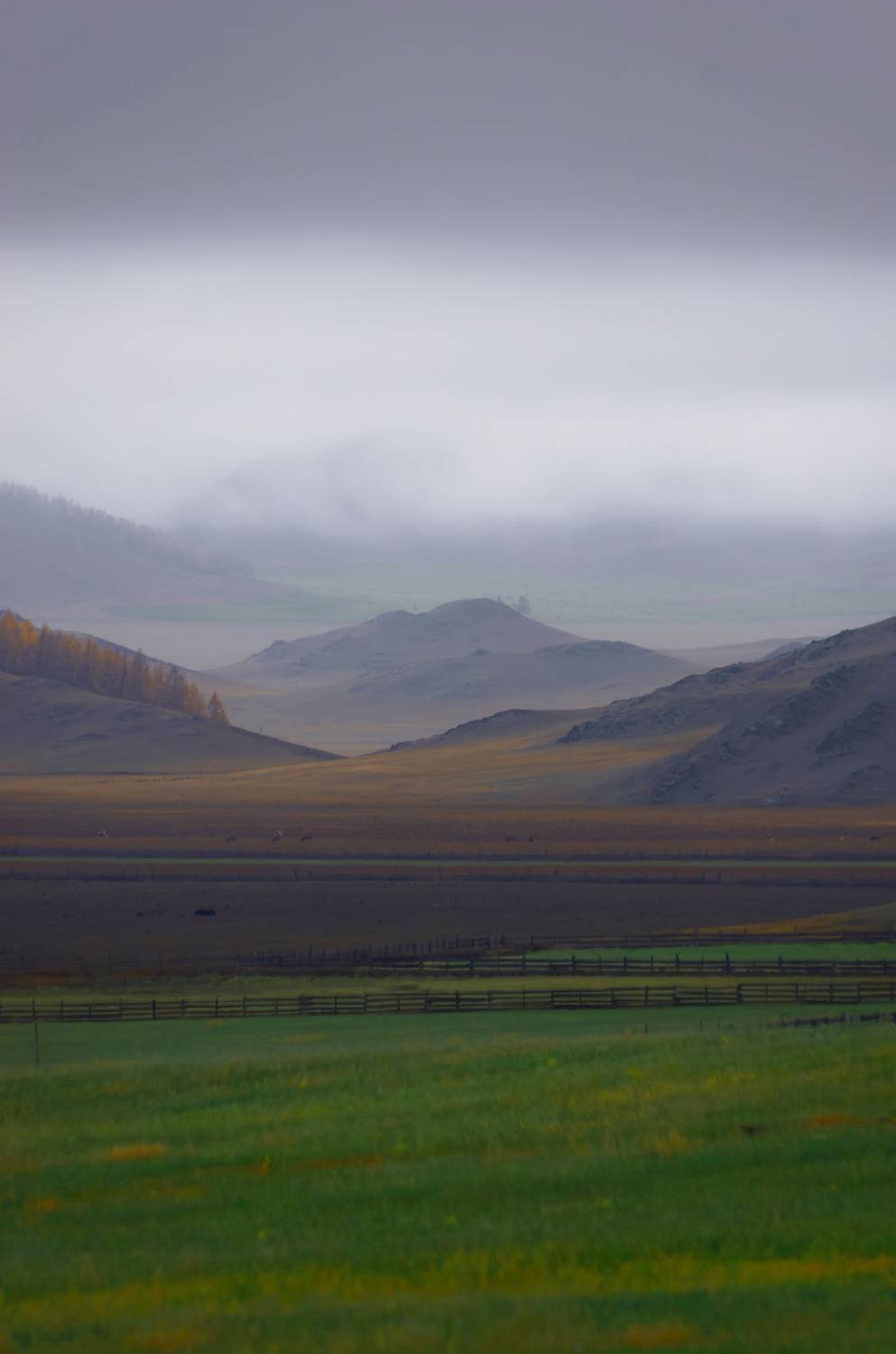 , Кузнецов Дмитрий