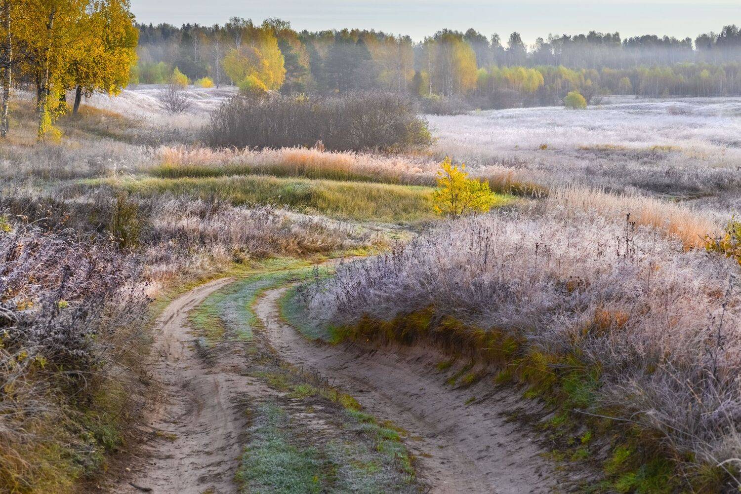 Фототуры с Владимиром Рябковым, #topnature #russpasibo #magic_shots #lovelyRussia #sunset_vision #exclusive_sky  #exclusive_shots #loves_russia2 #photoarena_nature #nature_sultans #nature_perfection #rsa_sky #rsa_sunset #photorussia #rsa_naturepics #sunse, Владимир Рябков