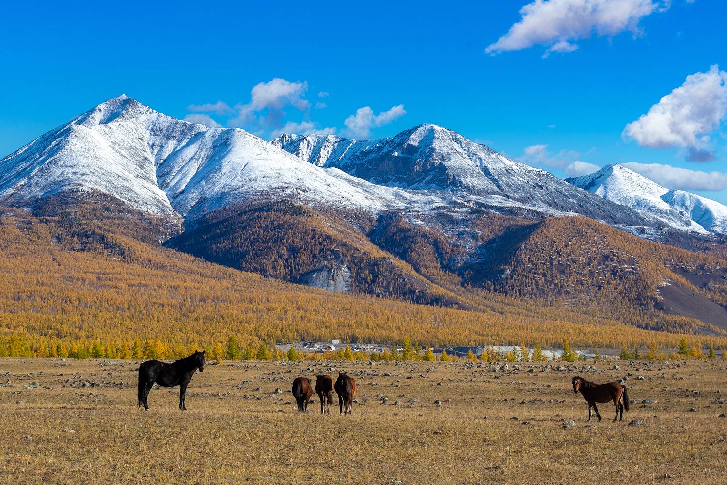 окинский район., Буянов Илья