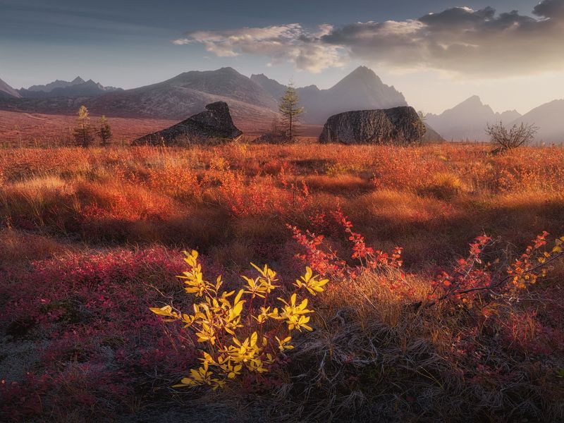 Цветной ковер Колымы фото превью