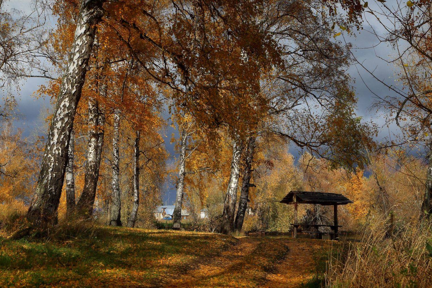 , Евгений Зинов