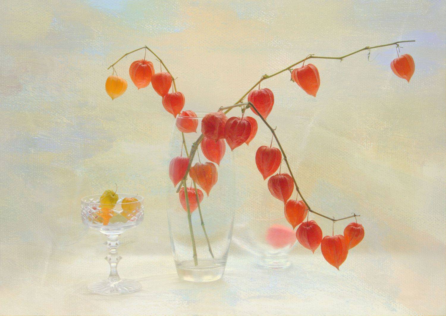 , Хохлова Наталья