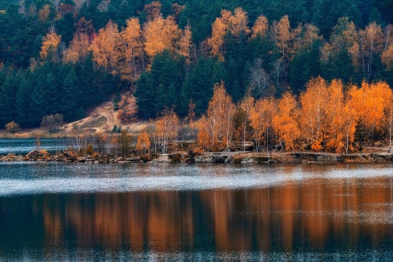 природа,пейзаж,осень,подмосковье Пасмурный день осени фото превью