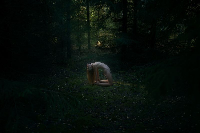 In the dark dark forest  фото превью