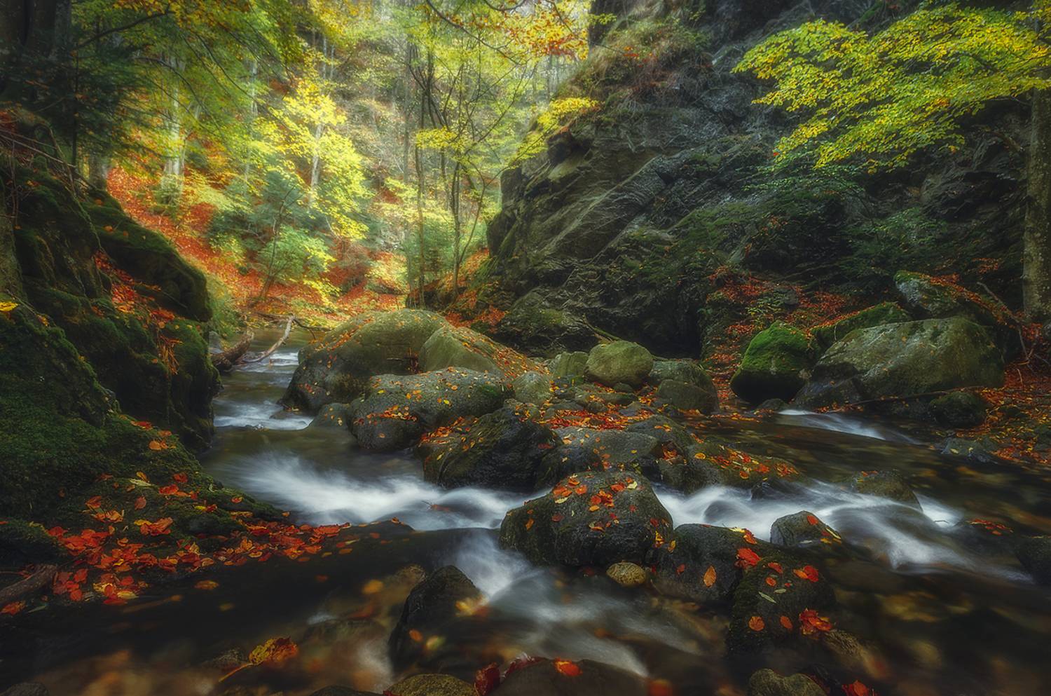 landscape, nature, scenery, forest, wood, autumn, fall, river, mountain, staraplanina, bulgaria, лес, Александров Александър