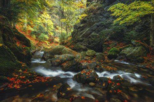 Downstream of time / По течению времени