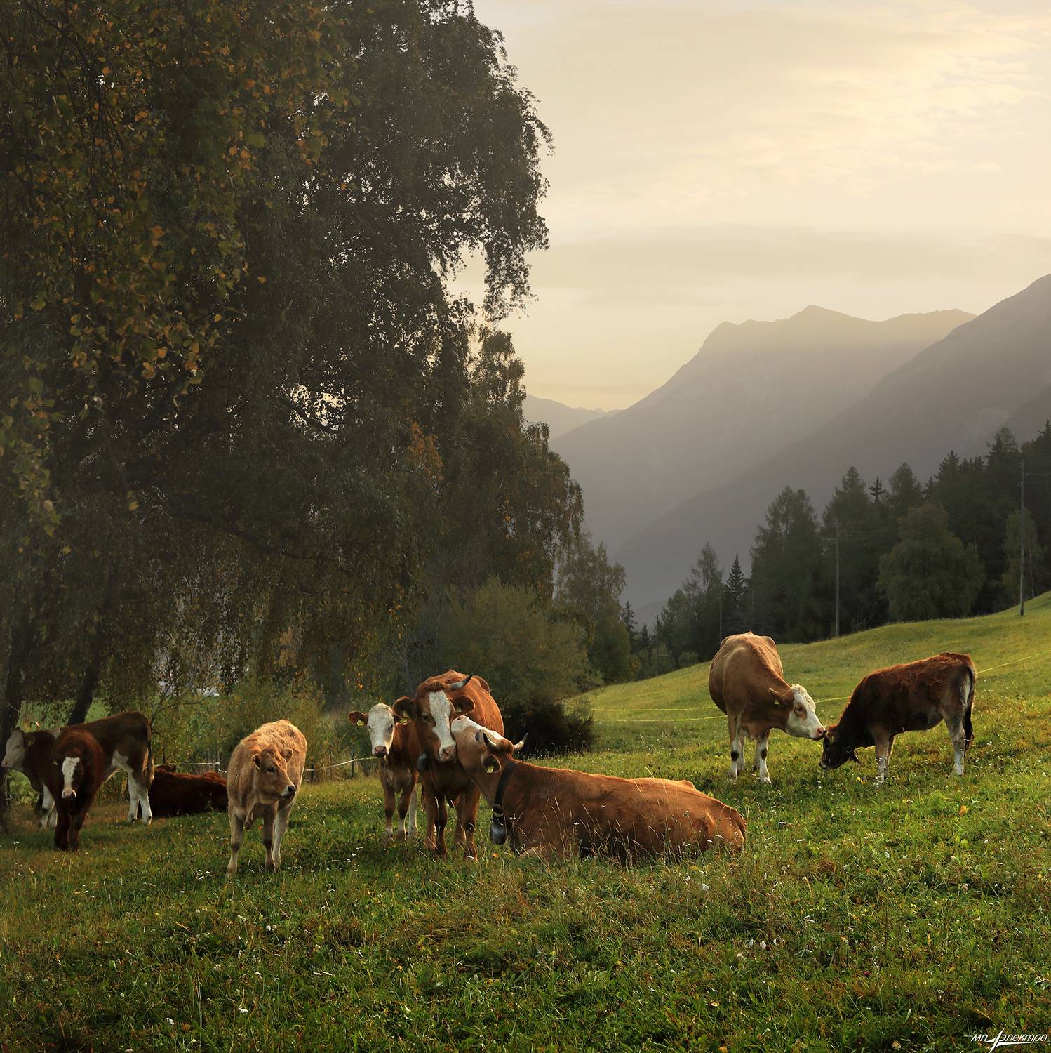 swiss,швейцария,осень,grisons, Николай Матвеев