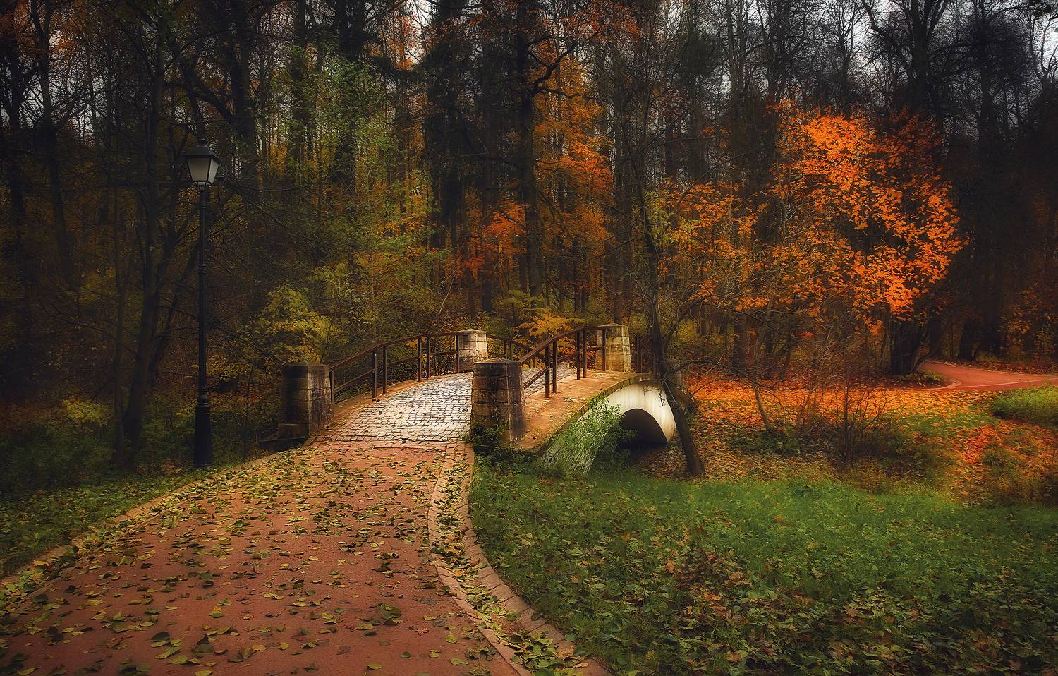 осень, пейзаж, царицыно, Алексей Назаров