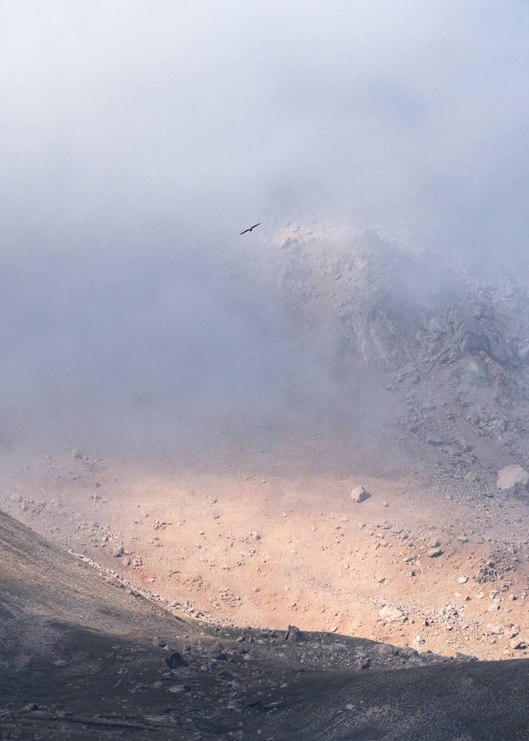 , Евгений Важенин
