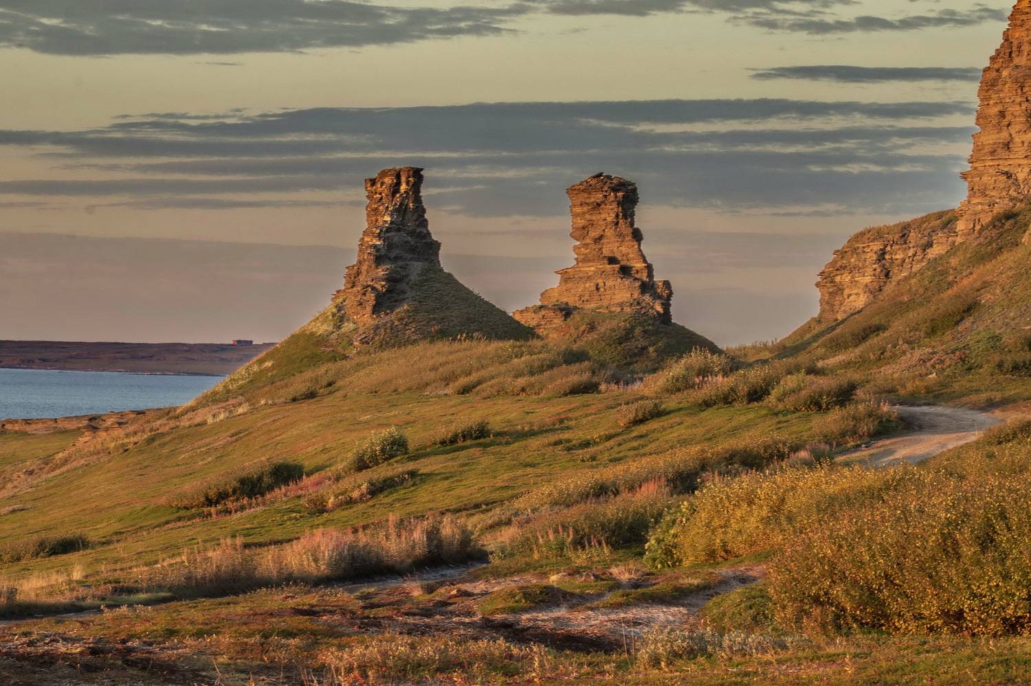 , Добролюбова Тамара