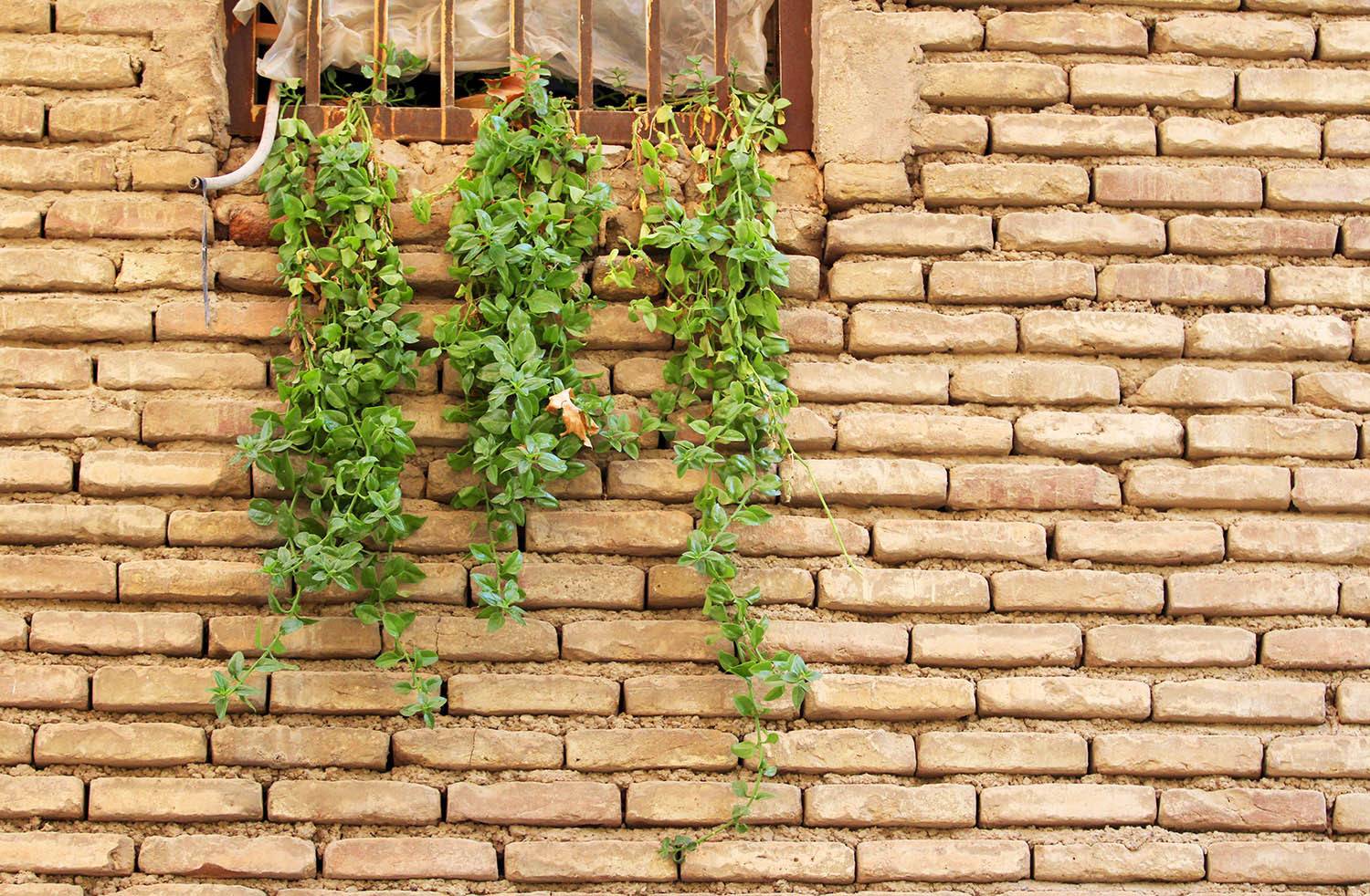 , mehdi karimi souderjani