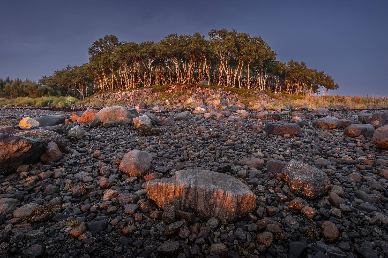 , Дмитрий Купрацевич