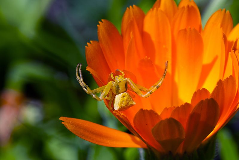 На охоте :))) фото превью