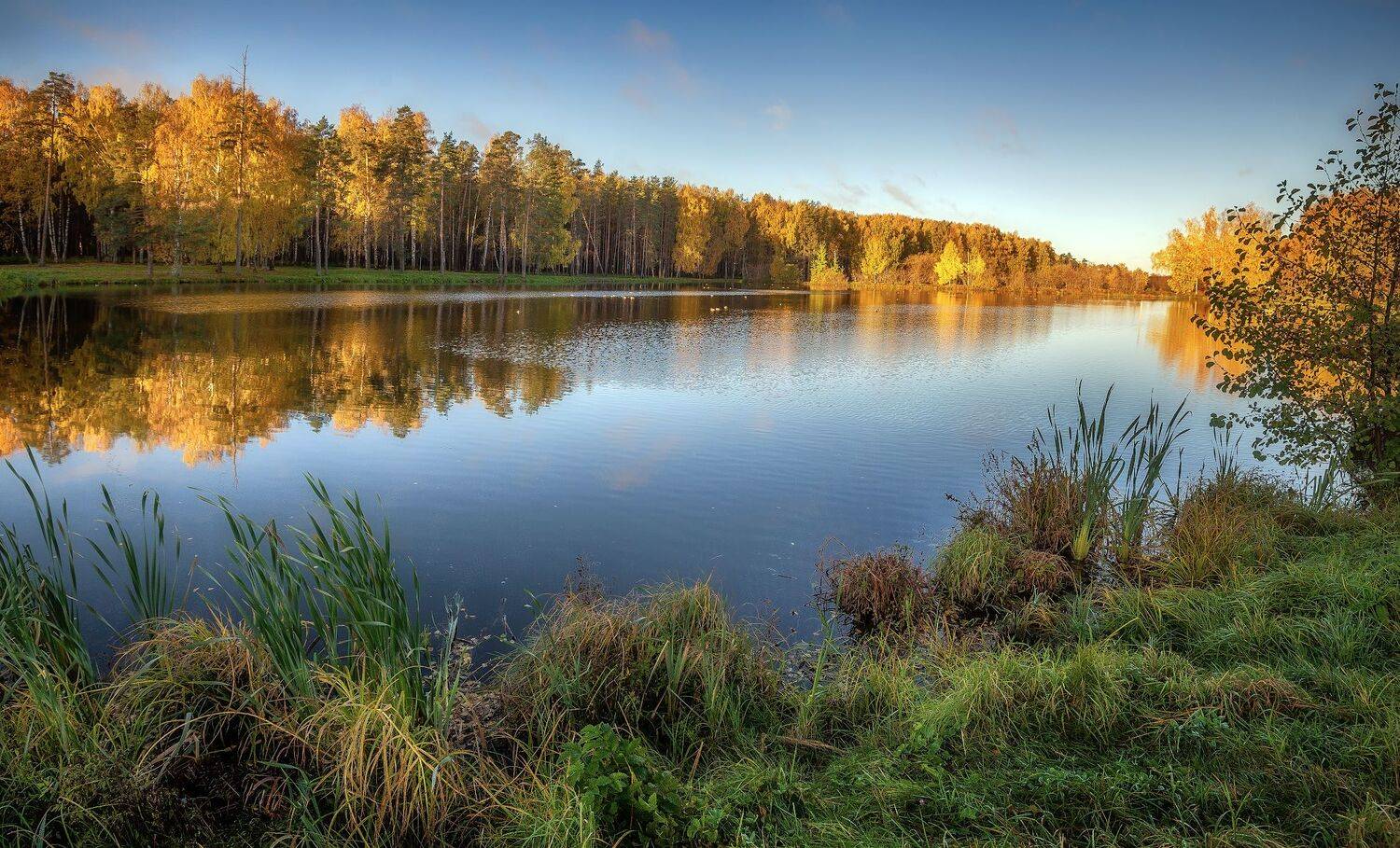 осень, озеро, природа, октябрь, Сергей Аникин