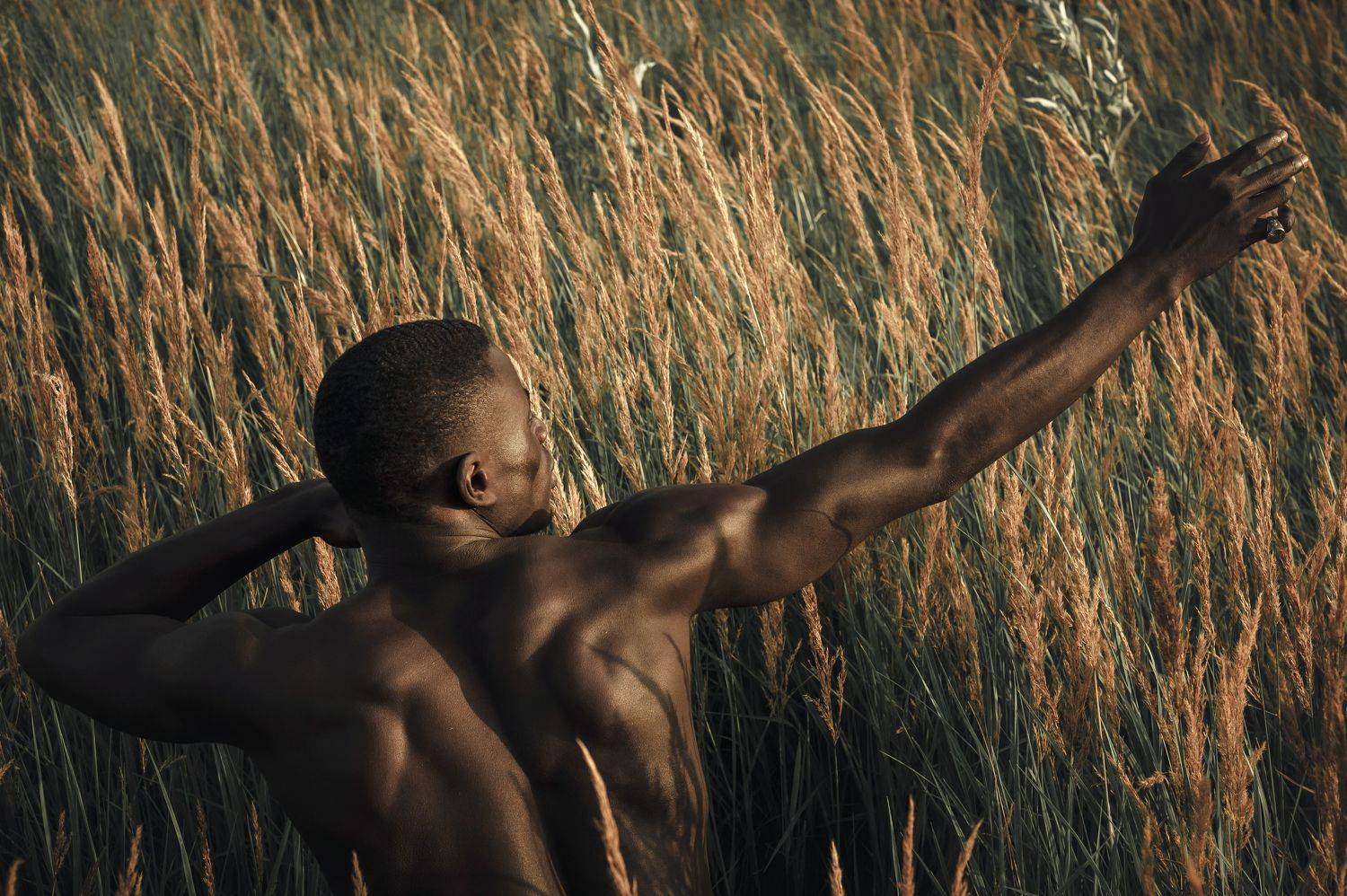 , Алексей Эктов