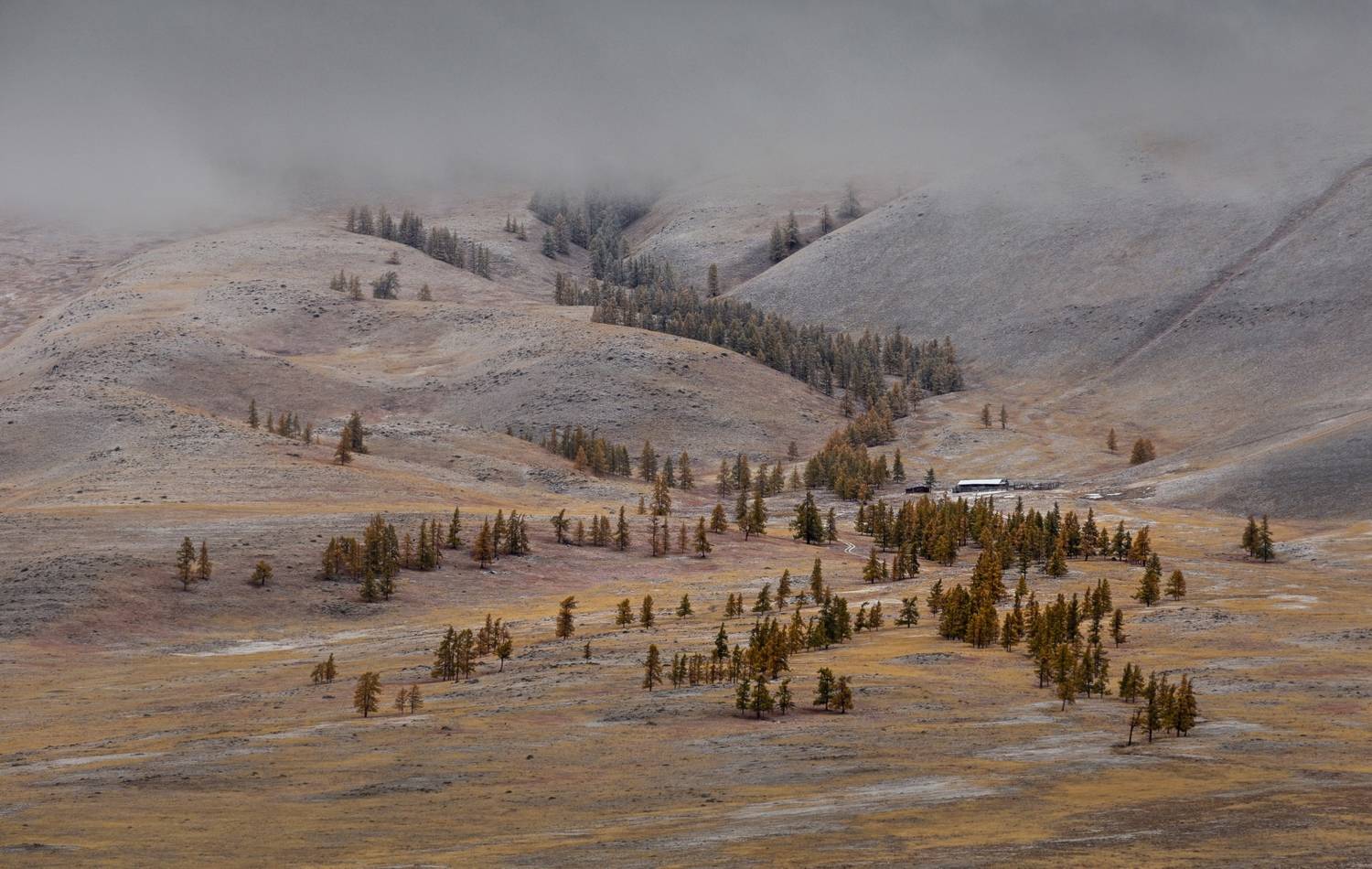 russia, mountains, altay, алтай, Михаил Конарев