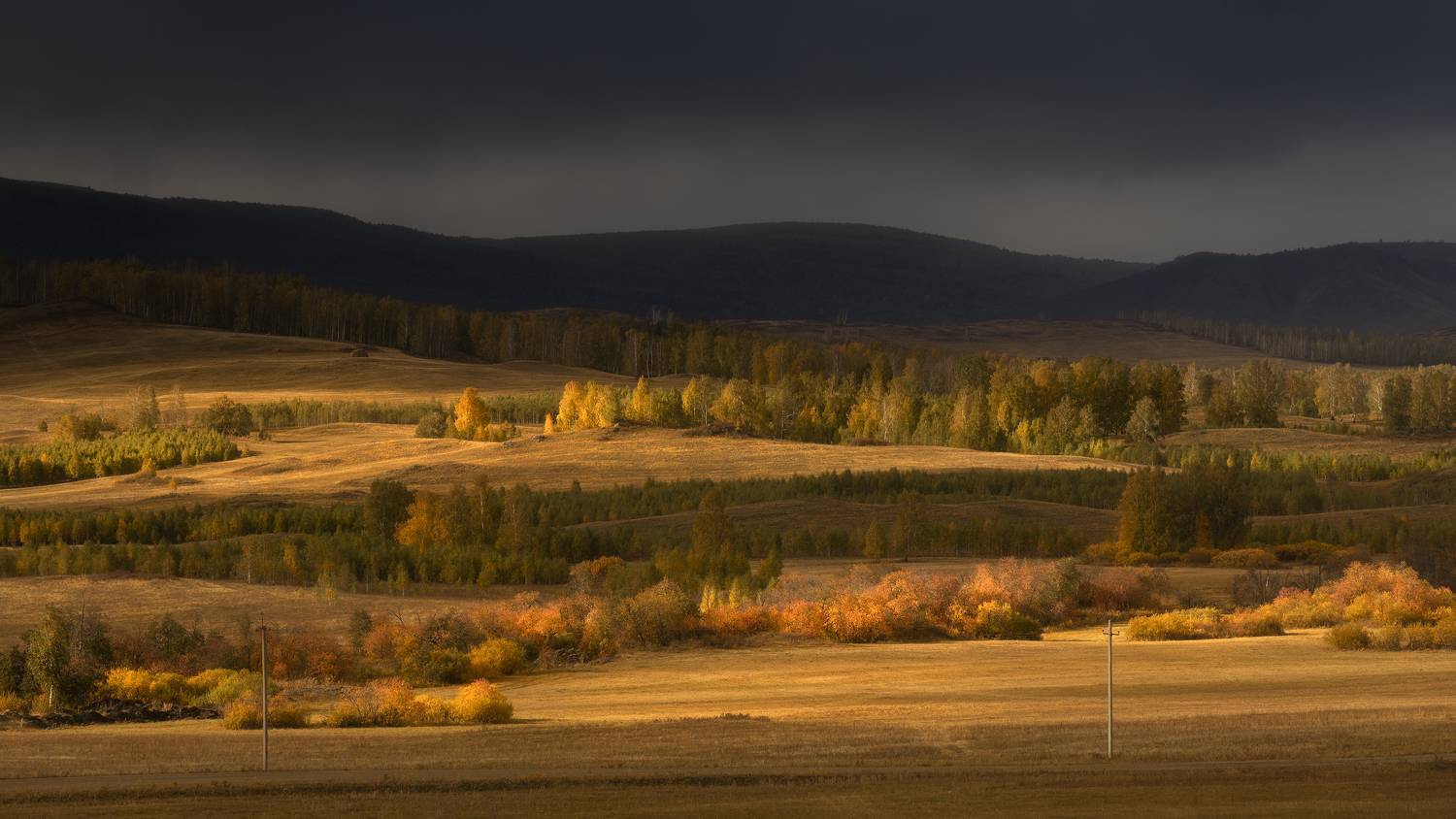 , Бирюкова Татьяна