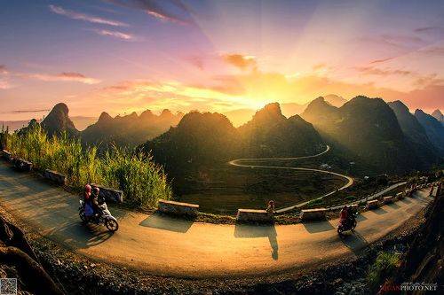 Golden Road