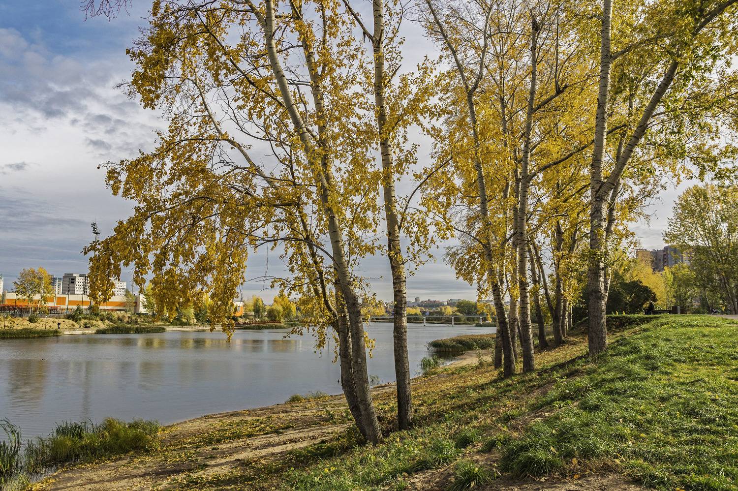 , Шитов Александр