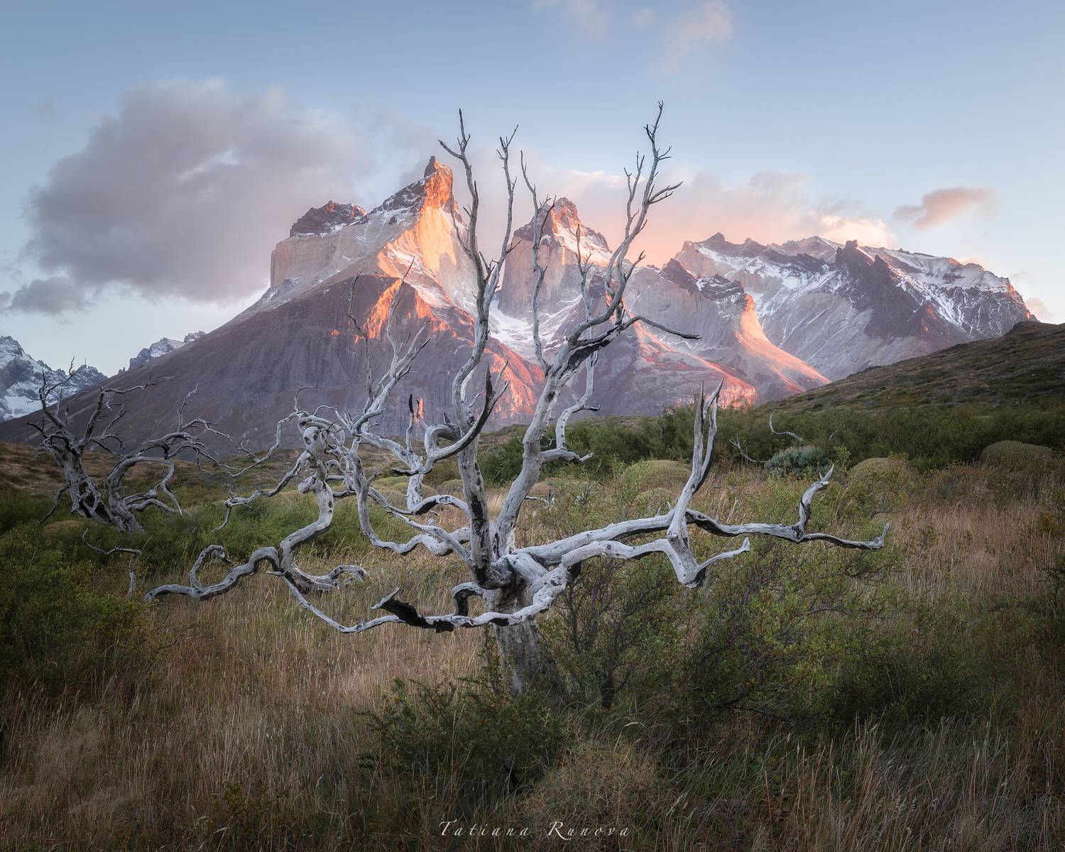 , Рунова Татьяна