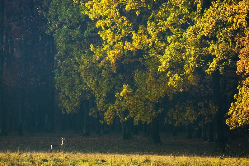2012 фото превью