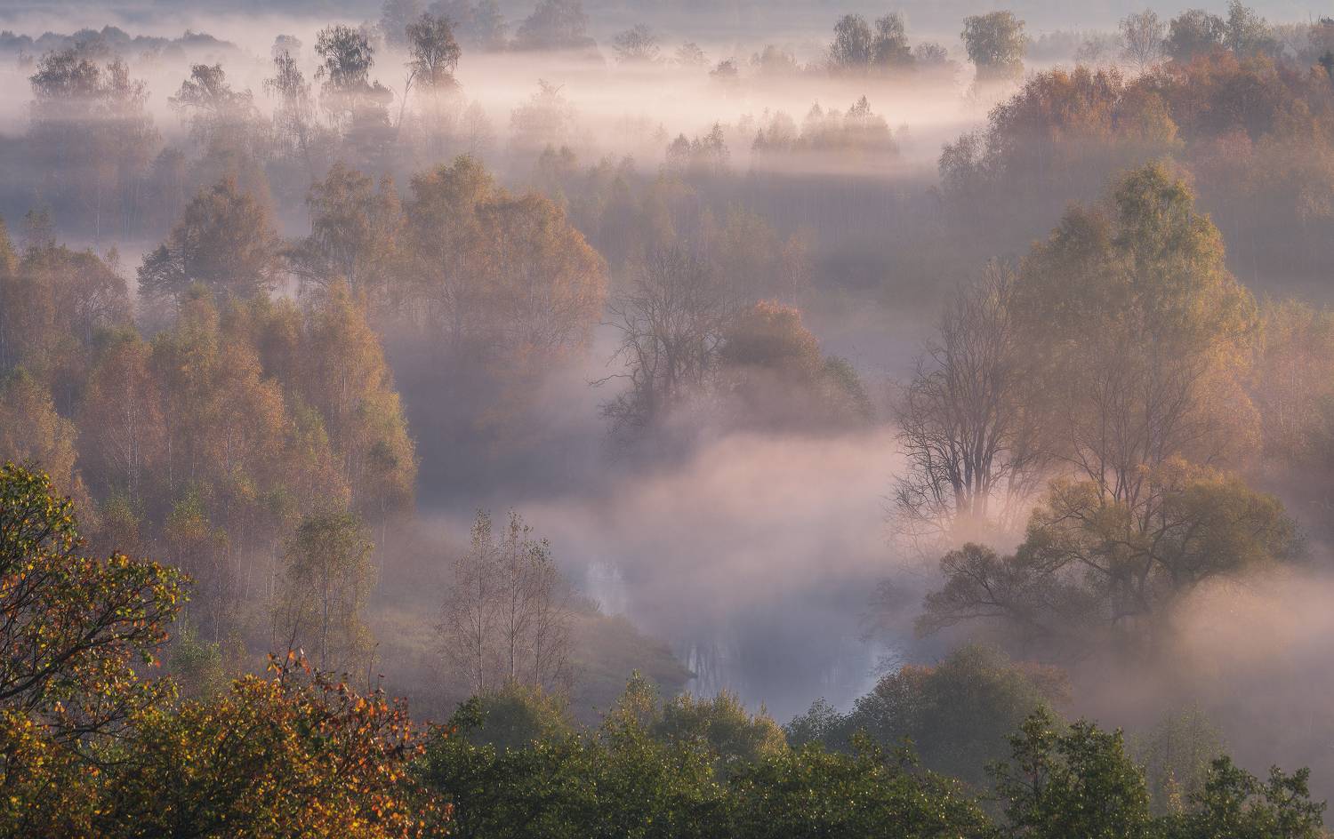 , Левыкин Виталий