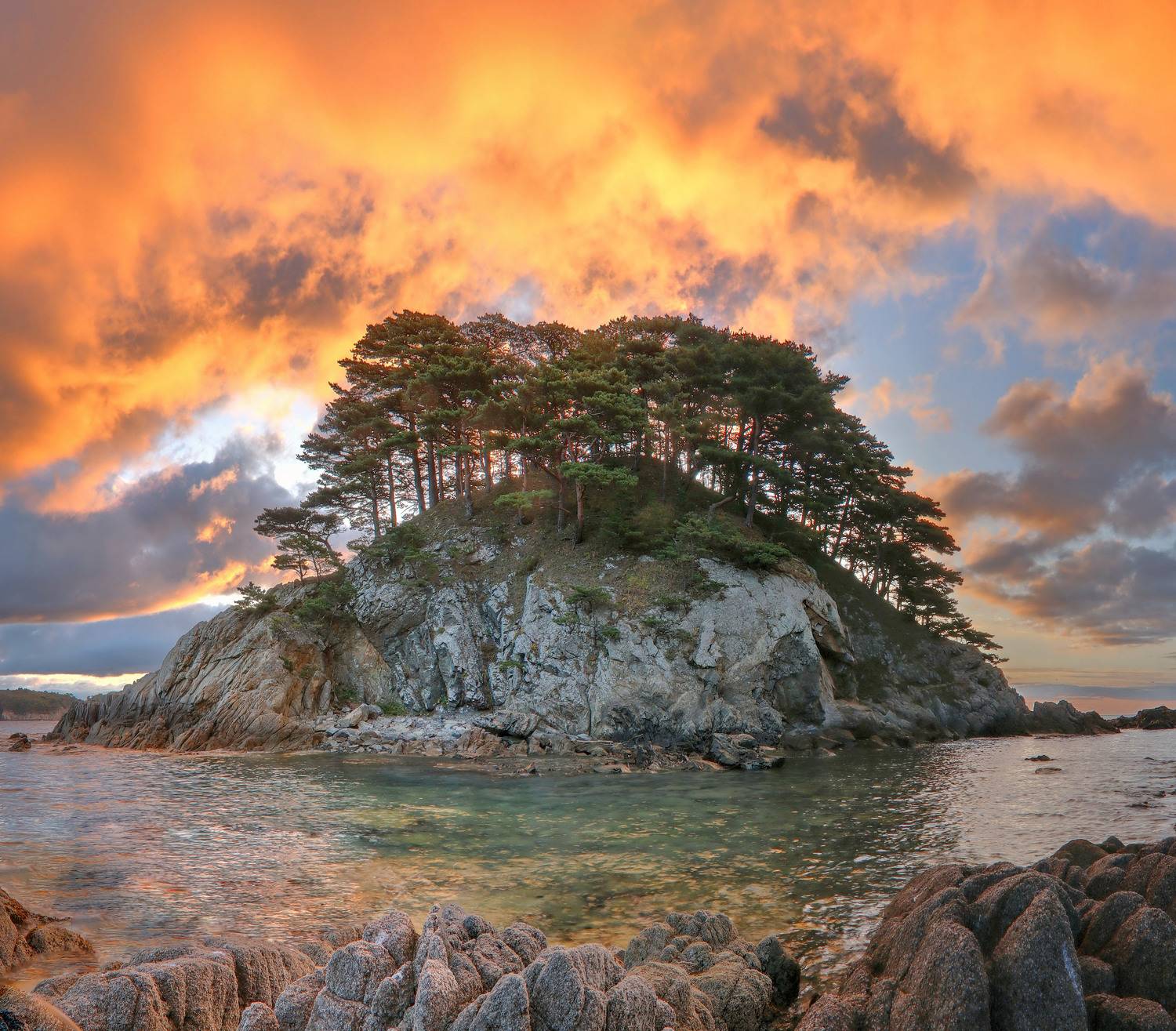 , Добролюбова Тамара