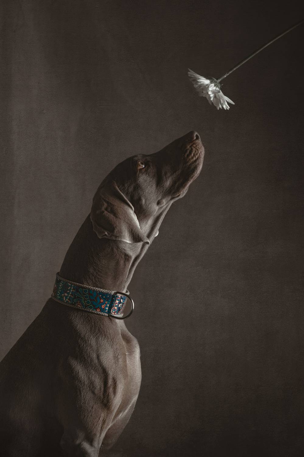 , Ященко Анастасия