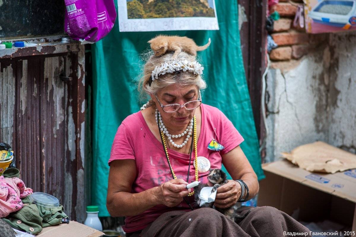 , Гвановский Владимир