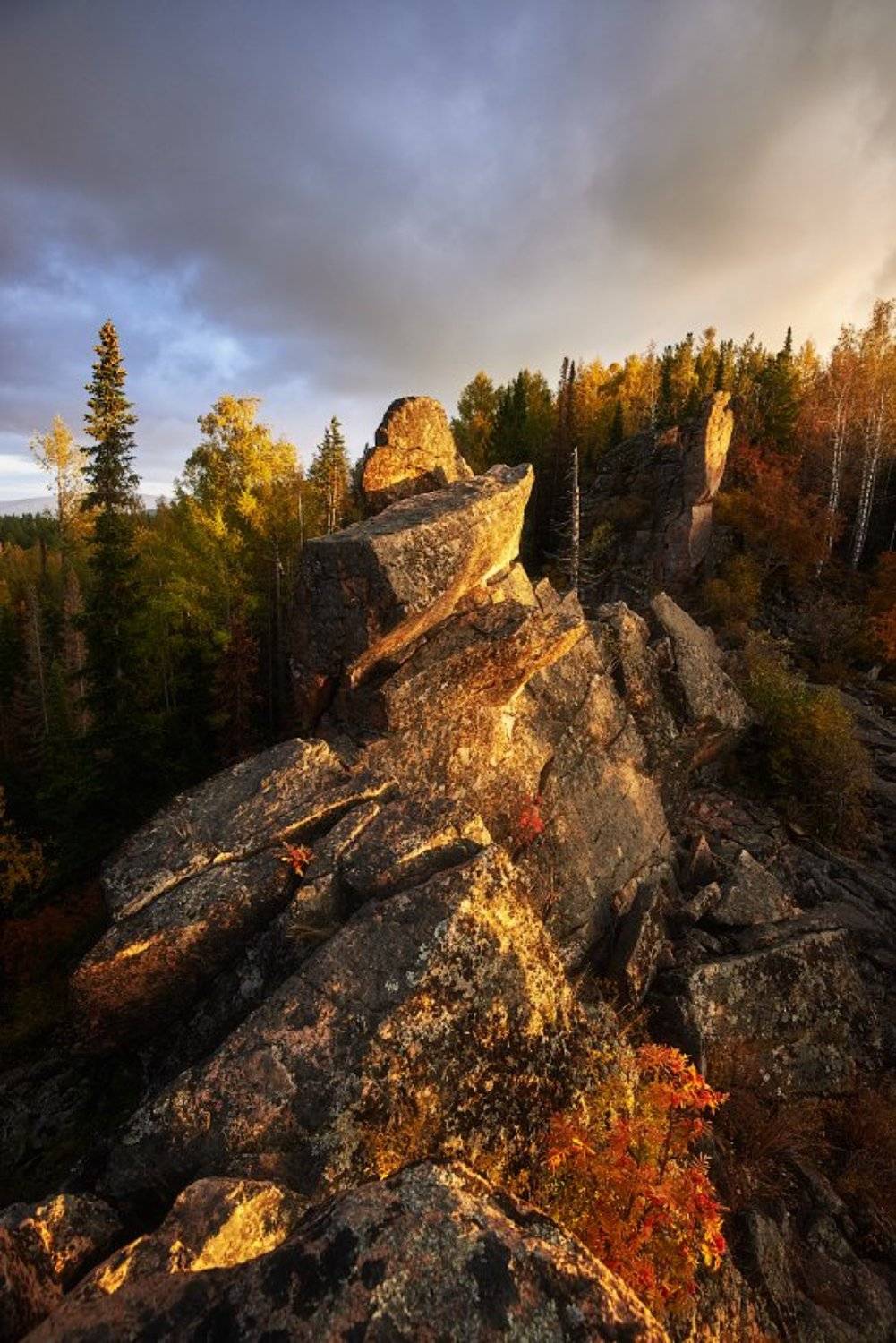 Столбы, Михаил Зверев