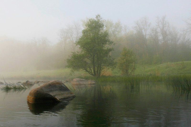 Река. Утро. Туман. Скалы. Утренняя гармония. фото превью