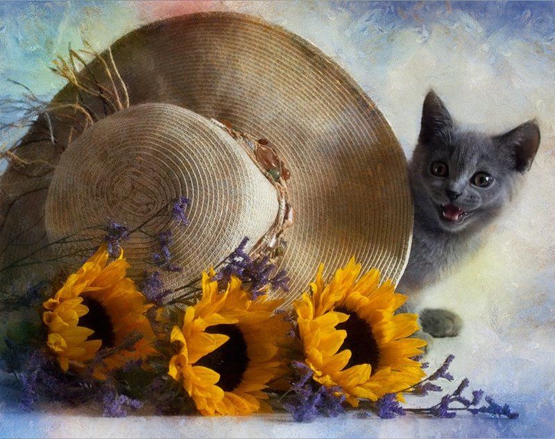 =^.^= фото превью