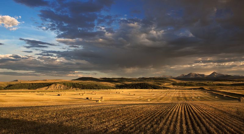 Провинциальное 2 фото превью