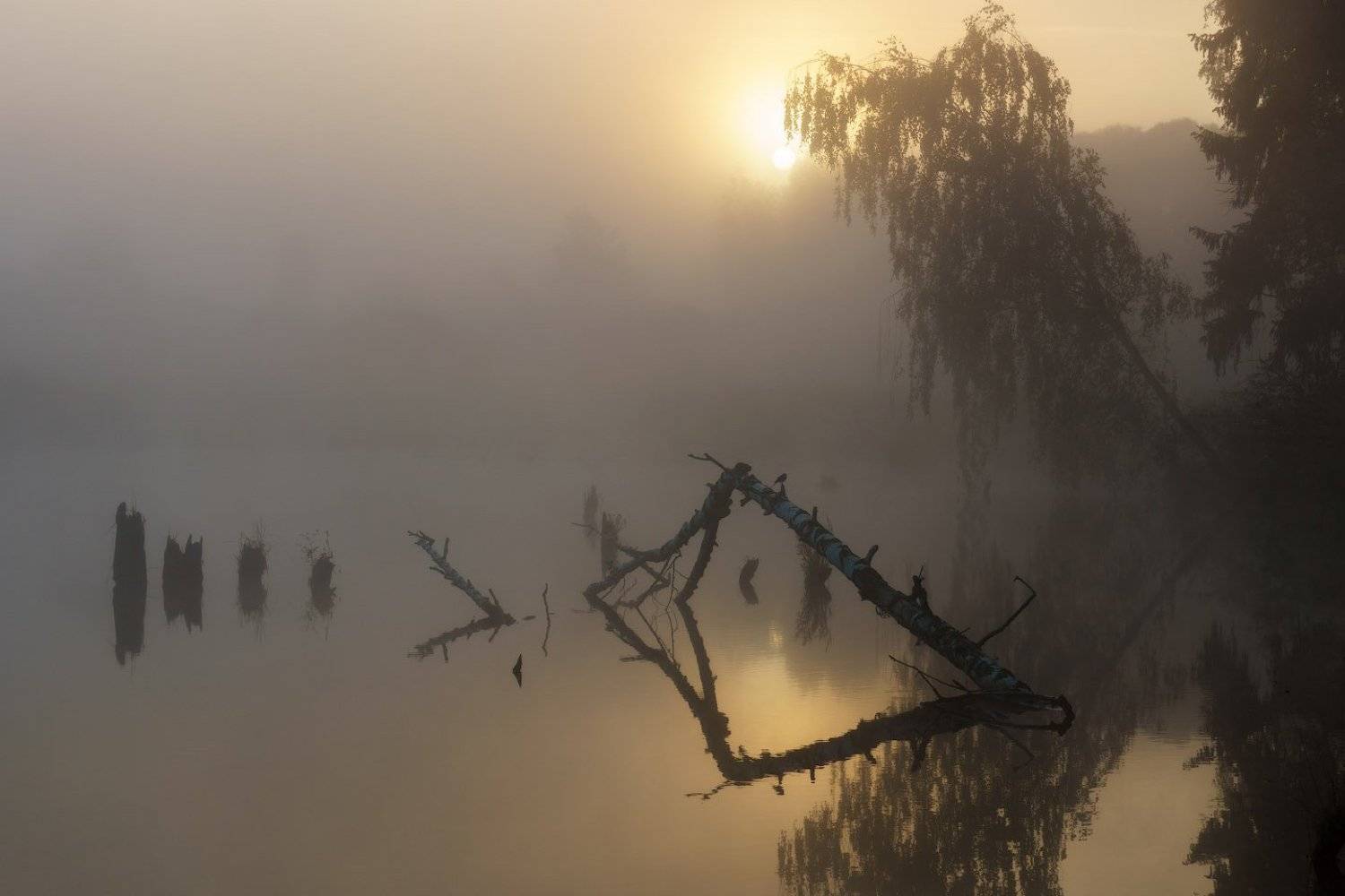 Вода, Грумант, Коряга, Рассвет, Тумант, Утро, Будин Николай