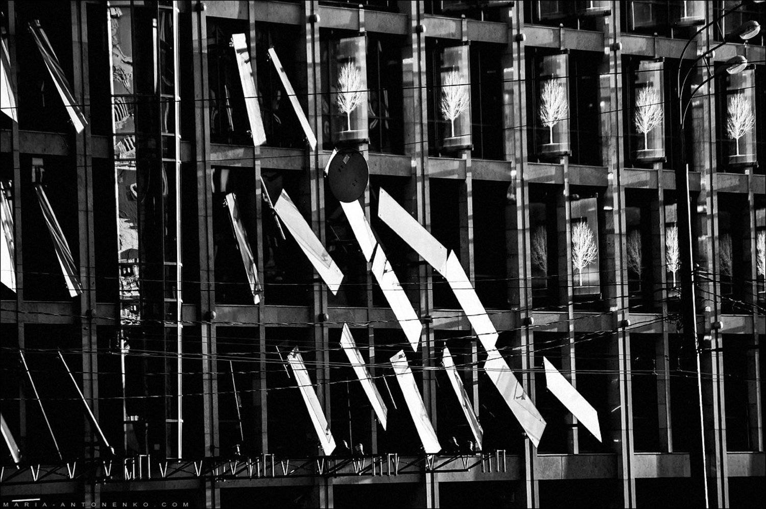 Москва, здание, стекло, деревья, Мария Антоненко