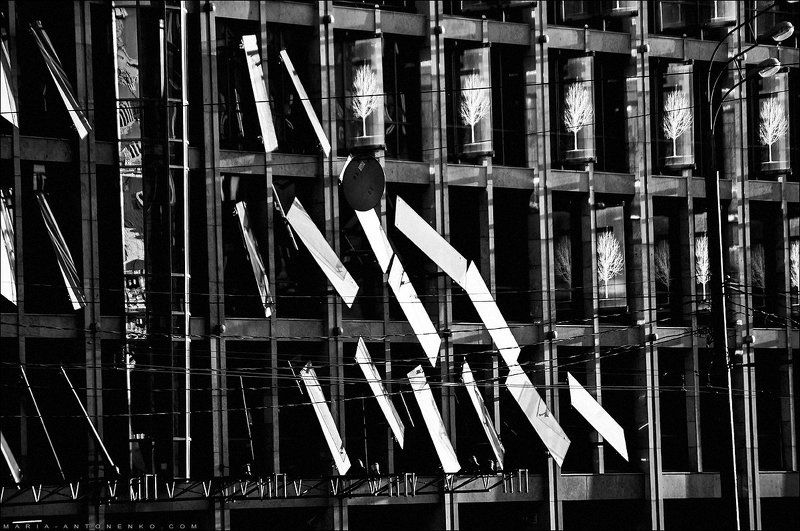 Москва, здание, стекло, деревья Стеклянные деревья фото превью