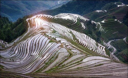 Рисовые террасы «Драконий хребет» (Лунцзи)