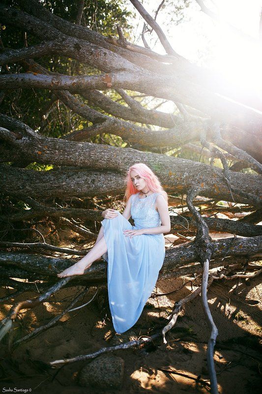 Альберта фото превью