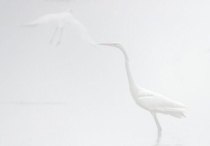 atmosphere  Come back to me... фото превью