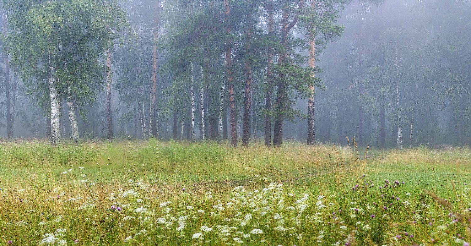 , Дмитрий Алексеев