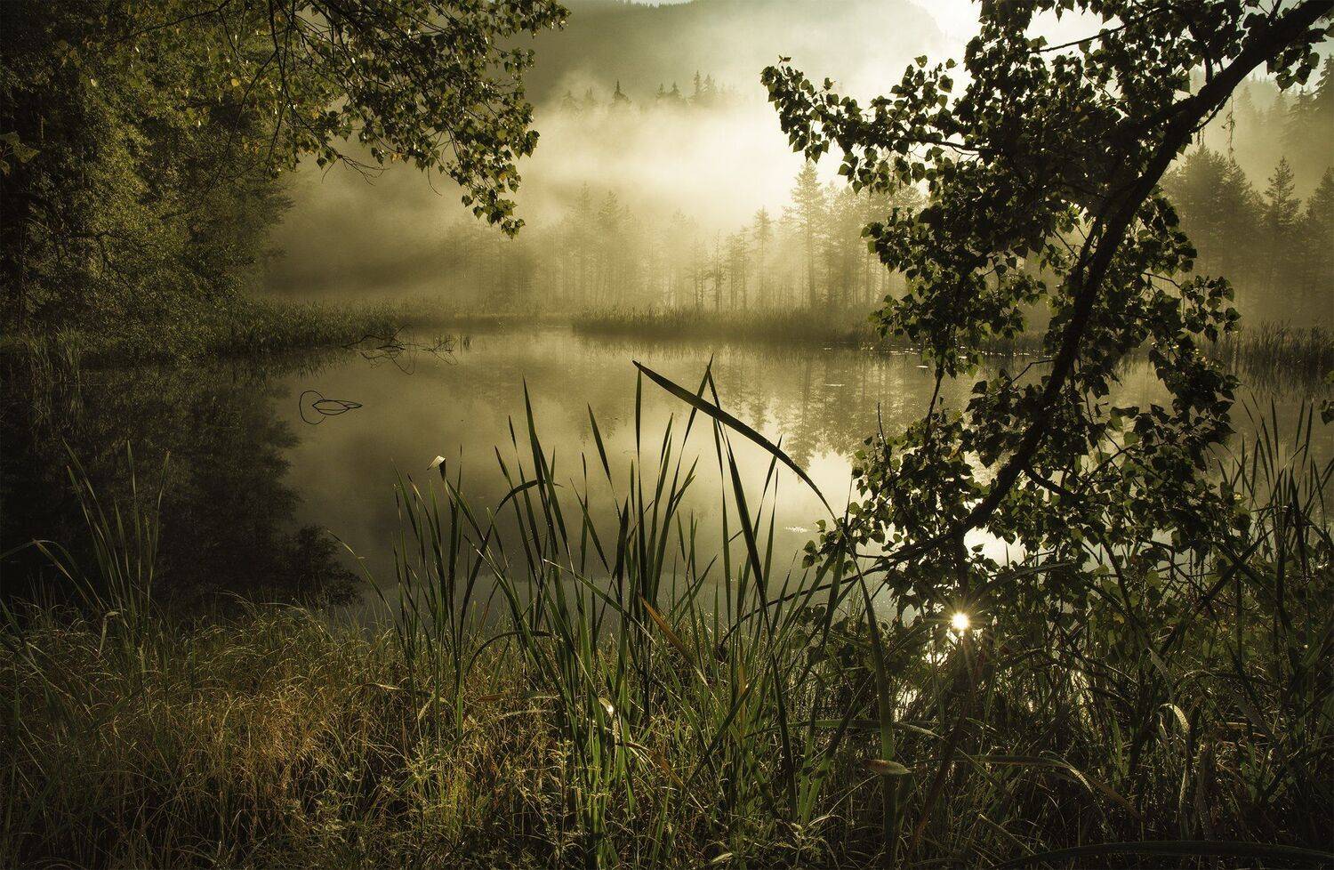 , Ева Йорданова