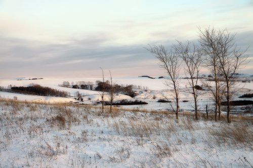 Снежные акварельки