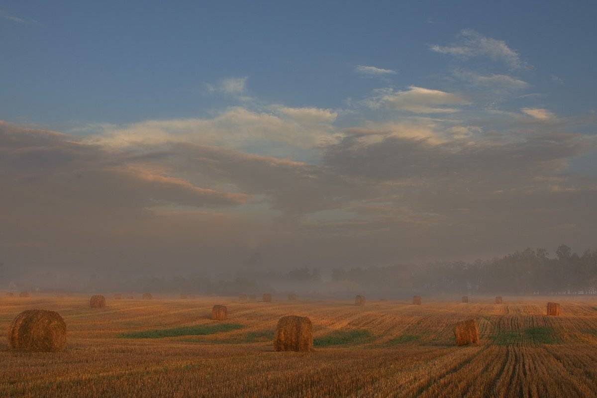 , Валерий Кондратов
