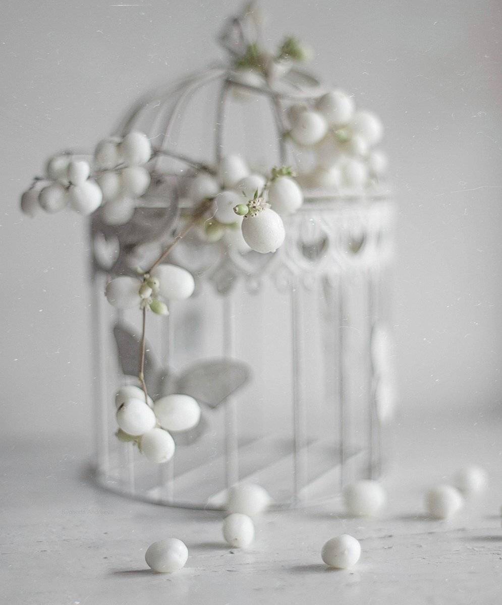 , Svoboda Andreeva