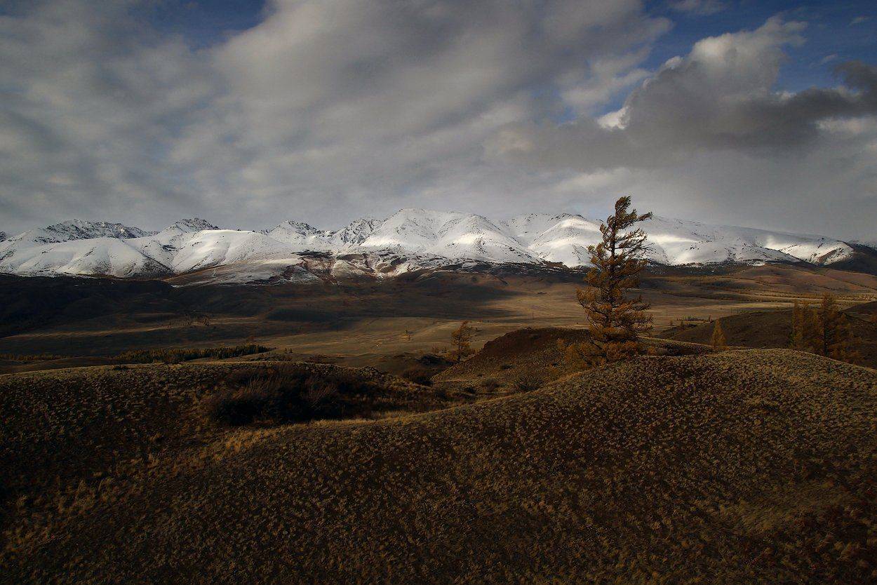 , Дмитрий Д.