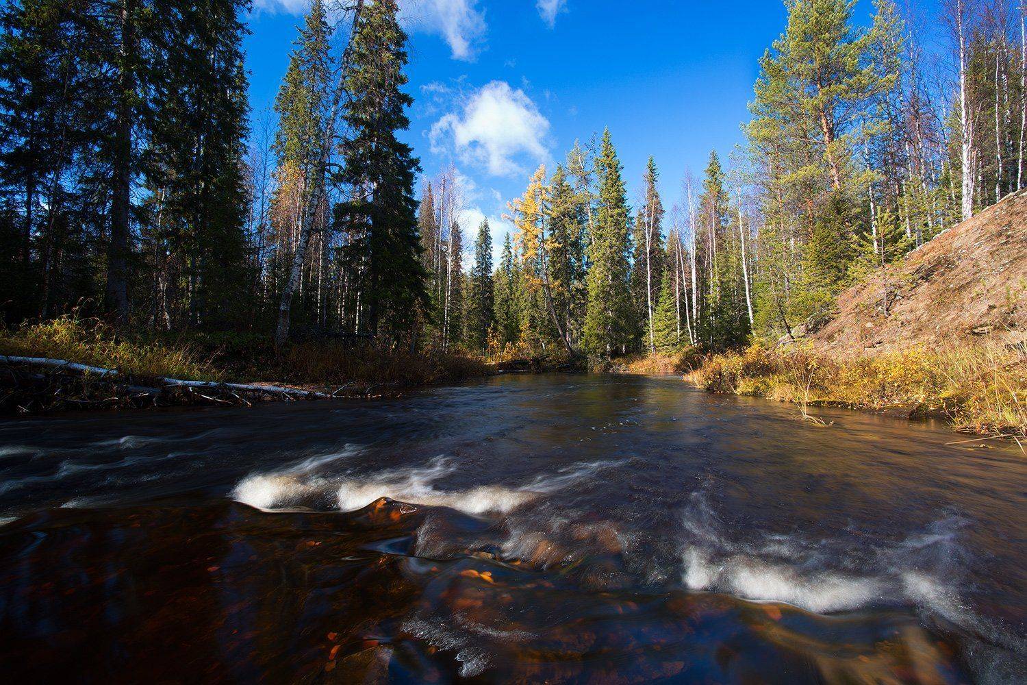 , Поташев Александр