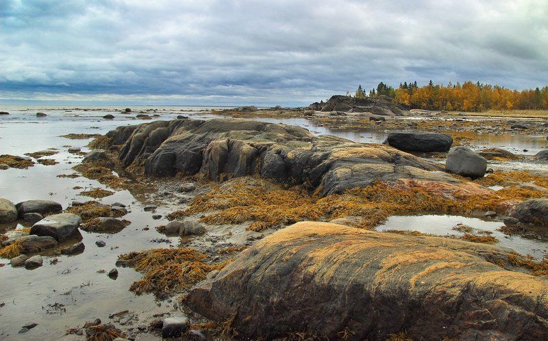 *** фото превью