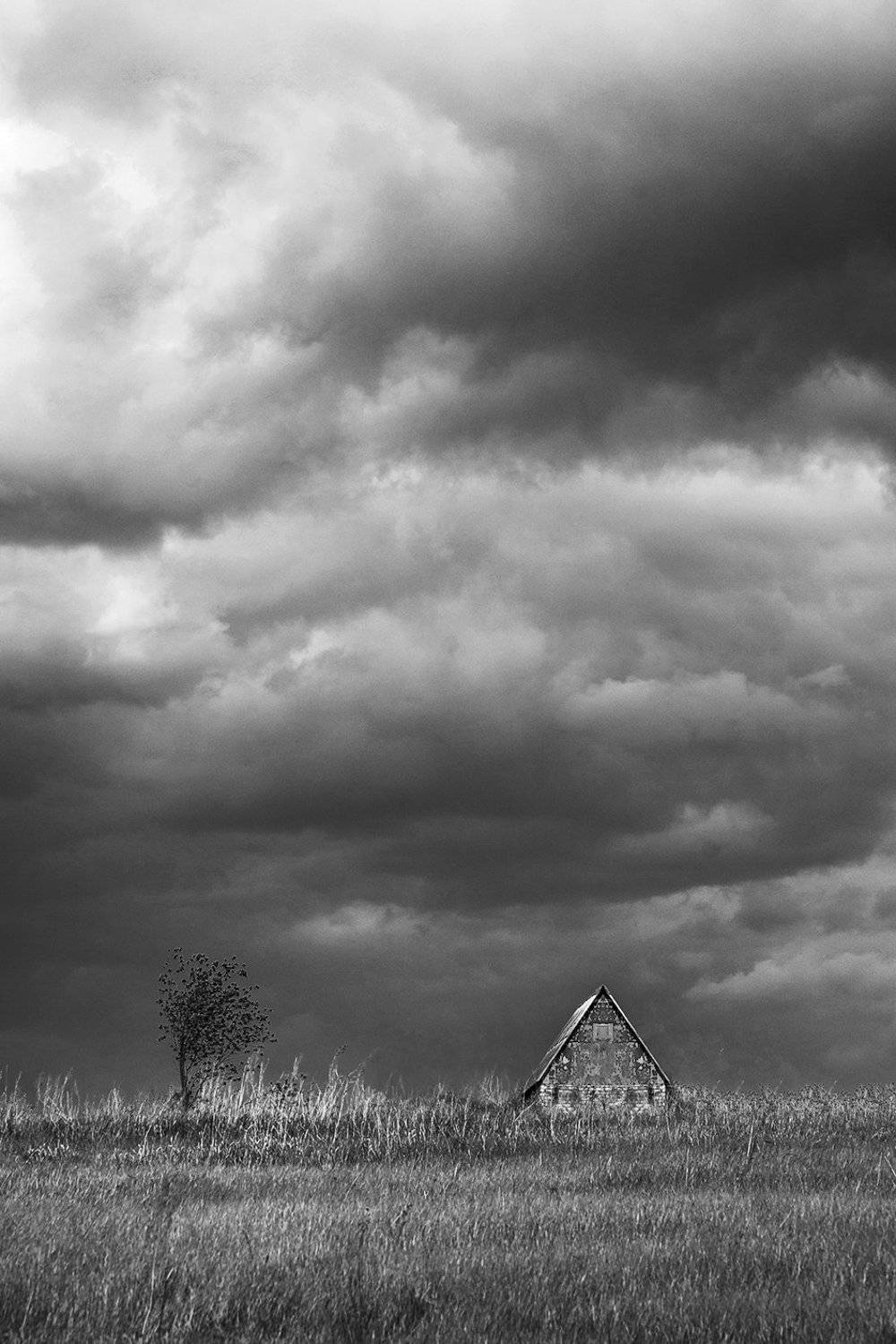 , Роман Рыжков